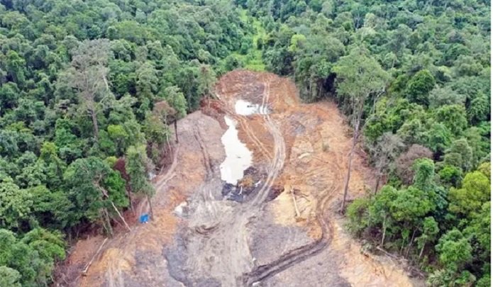 Polda Kaltim Dalami Tambang Ilegal di Hutan Pendidikan Unmul Samarinda, Tersangka Segera Ditetapkan