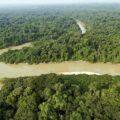 Hutan Amazon Diserbu Rating Bintang 1 oleh Netizen Indonesia, Balasan atas Kasus Gunung Rinjani?