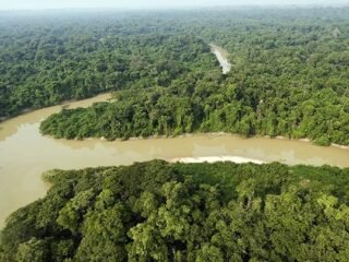 Hutan Amazon Diserbu Rating Bintang 1 oleh Netizen Indonesia, Balasan atas Kasus Gunung Rinjani?