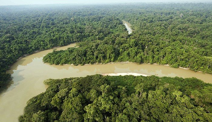 Hutan Amazon Diserbu Rating Bintang 1 oleh Netizen Indonesia, Balasan atas Kasus Gunung Rinjani?