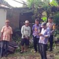 Pohon Raksasa Tumbang Timpa Rumah Warga Pangkep