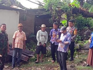 Pohon Raksasa Tumbang Timpa Rumah Warga Pangkep