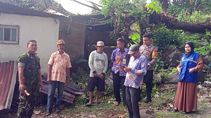 Pohon Raksasa Tumbang Timpa Rumah Warga Pangkep