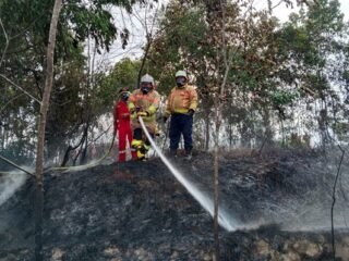 Kebakaran Hutan di Depan Hotel Oak Tree Bontang