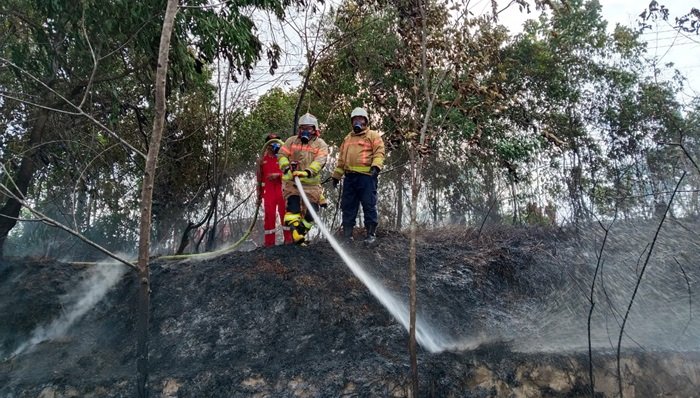 Kebakaran Hutan di Depan Hotel Oak Tree Bontang