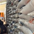 Warga Mahulu Menjerit, Harga Beras Capai Rp1,3 Juta per Karung